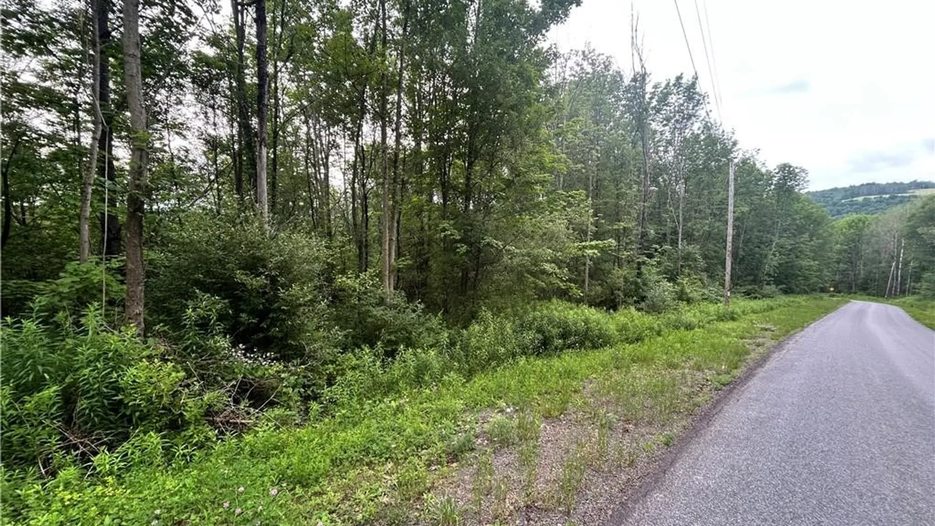 Property at Sisson Hill Road, Unadilla, NY 13849 9