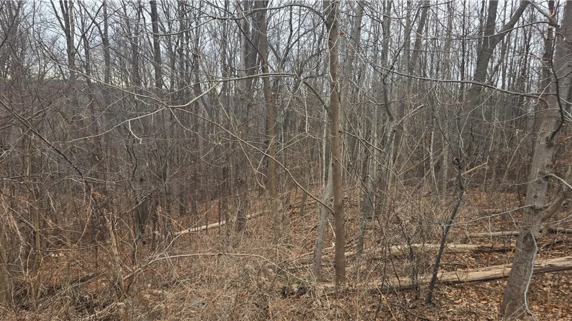 Property at Cr-32 Road, Bristol, NY 14424 3