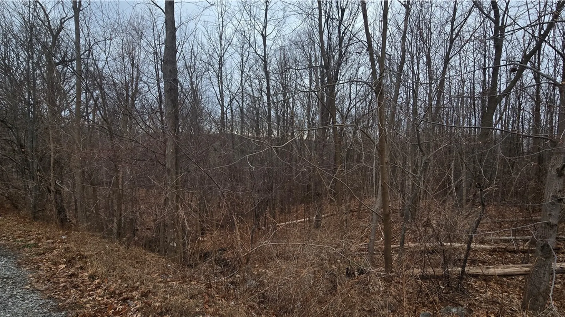 Property at Cr-32 Road, Bristol, NY 14424 4