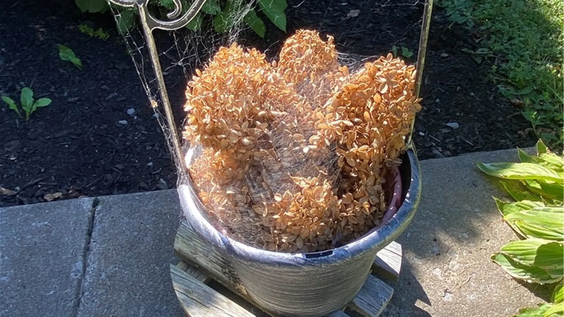 Property at 103 Paris Road, New Hartford, NY 13413 44