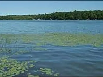Property at Off Duck Lake Rd, Conquest, NY 13143