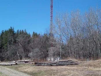 7972 Jackman Hill Road, Ellicottville, NY 14731