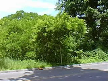 608 Hudson Street, Ithaca City, NY 14850