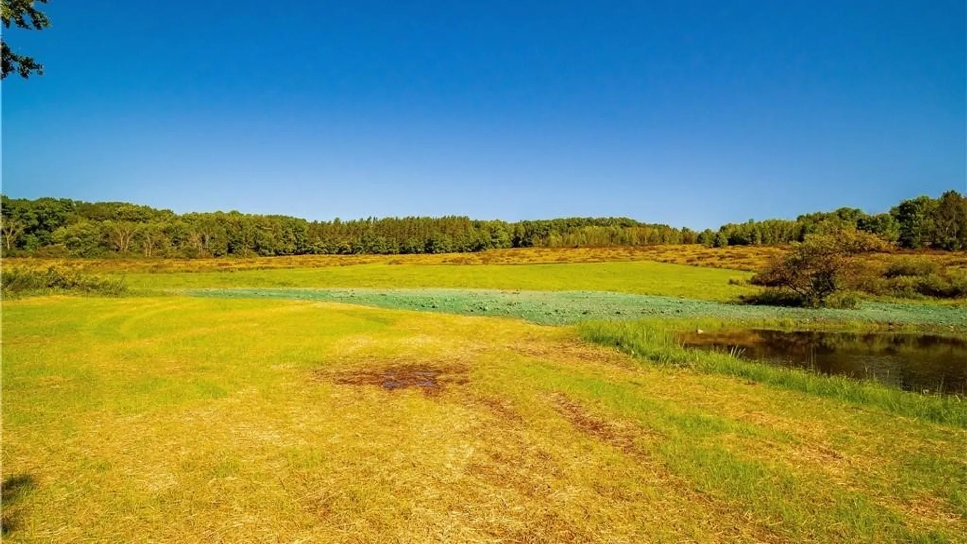 Property at 3710 Cowing Road, Busti, NY 14750 22