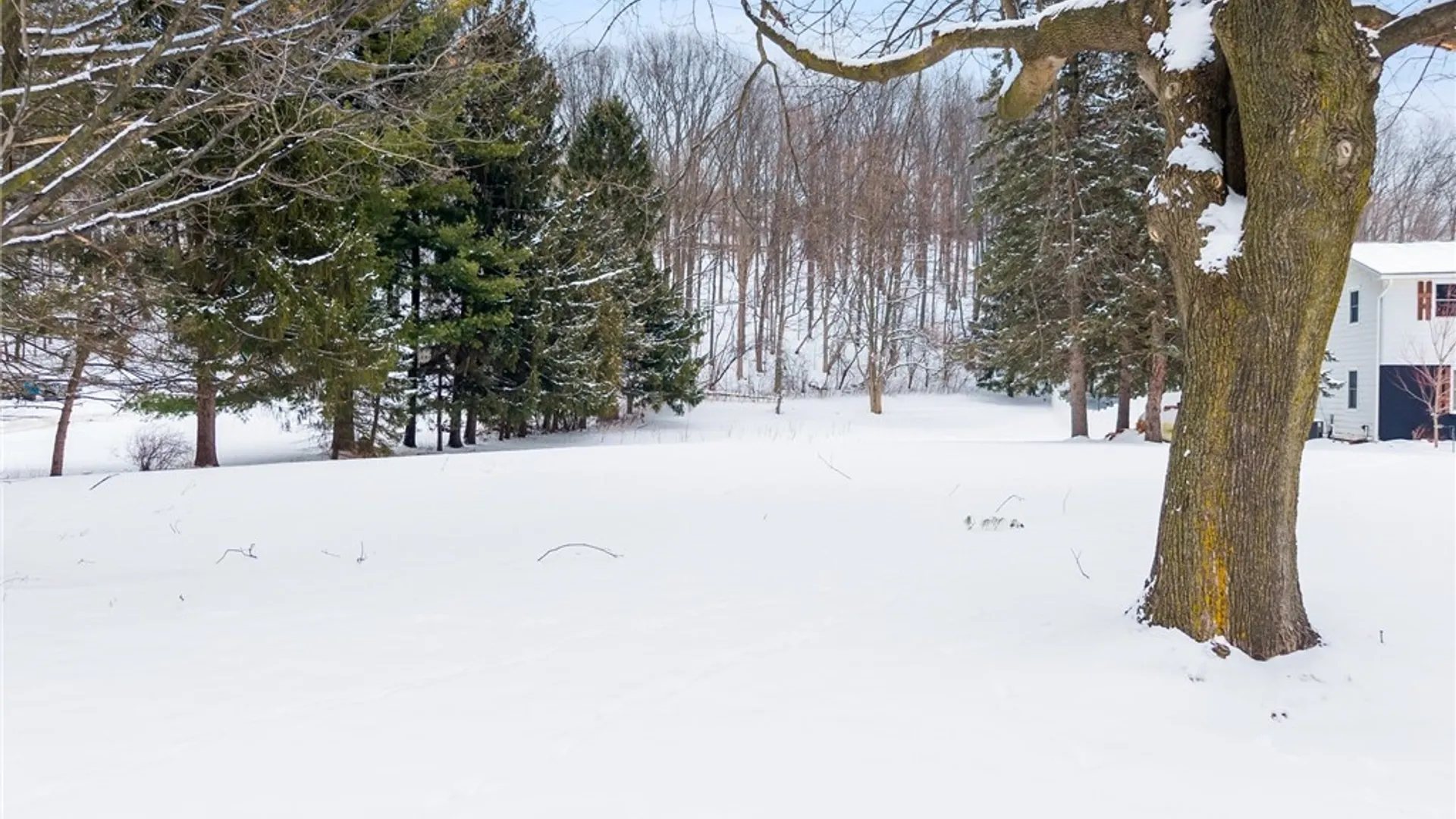 Property at 1077 Nottingham Road, DeWitt, NY 13078 18