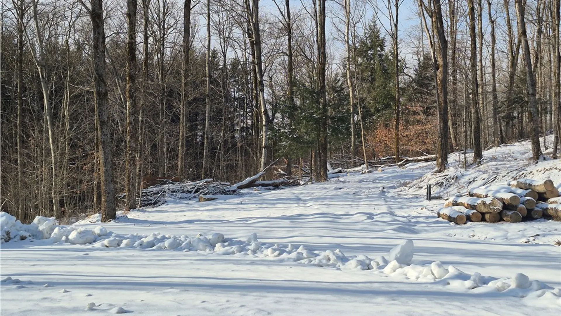 Property at Carson Road, Virgil, NY 13045 18