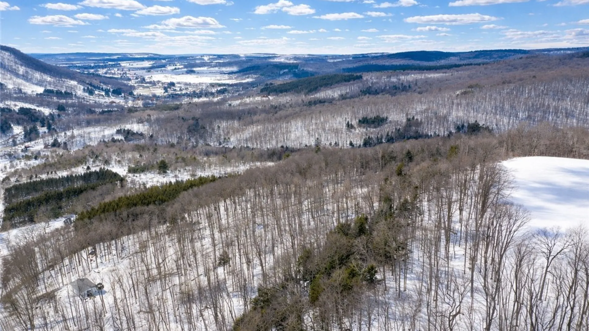 Property at Carson Road, Virgil, NY 13045 20
