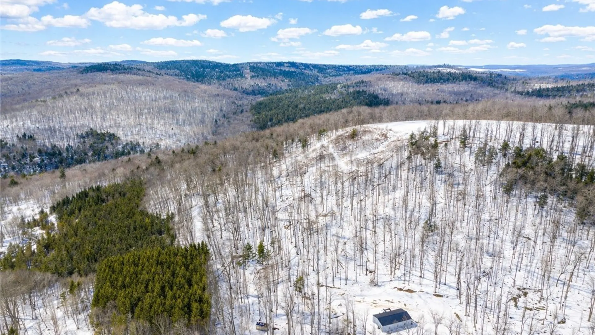 Property at Carson Road, Virgil, NY 13045 5