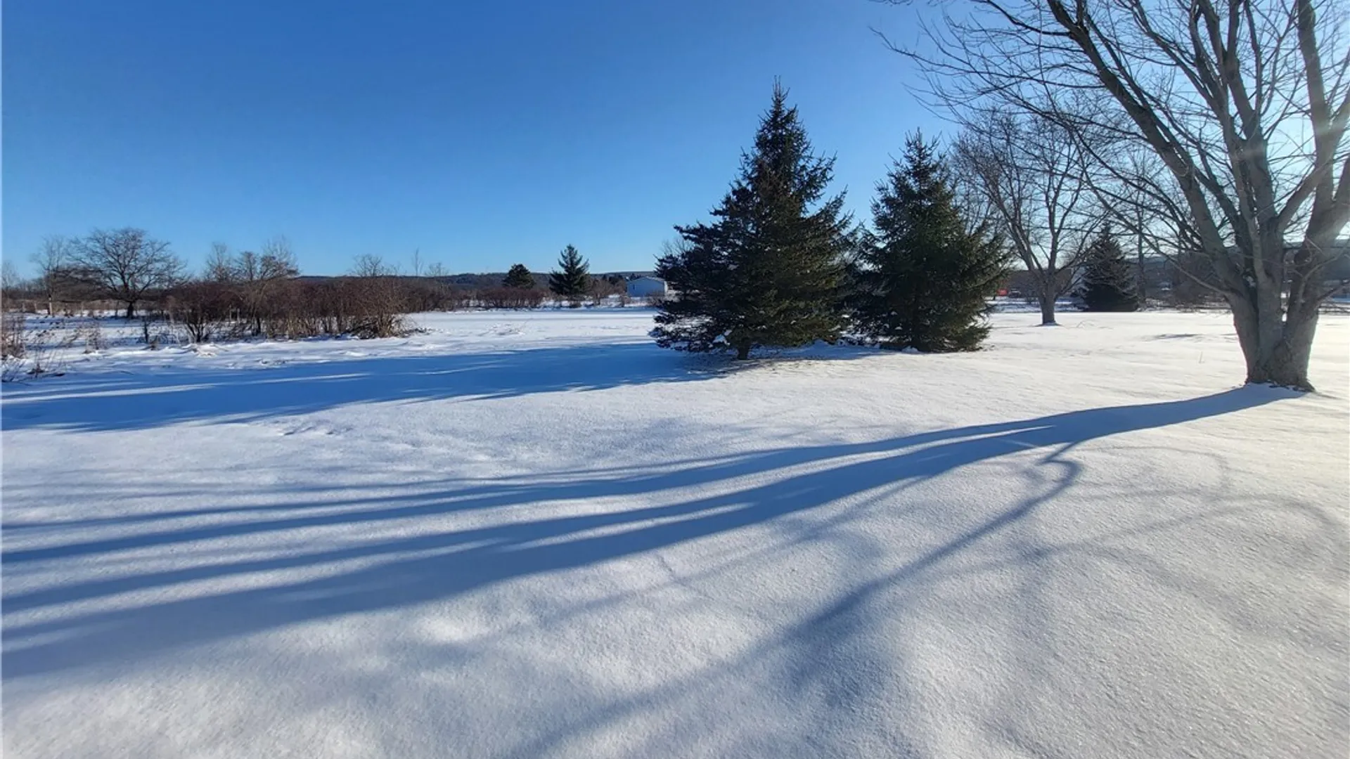 Property at 8294 Swamp Road, East Otto, NY 14719 34
