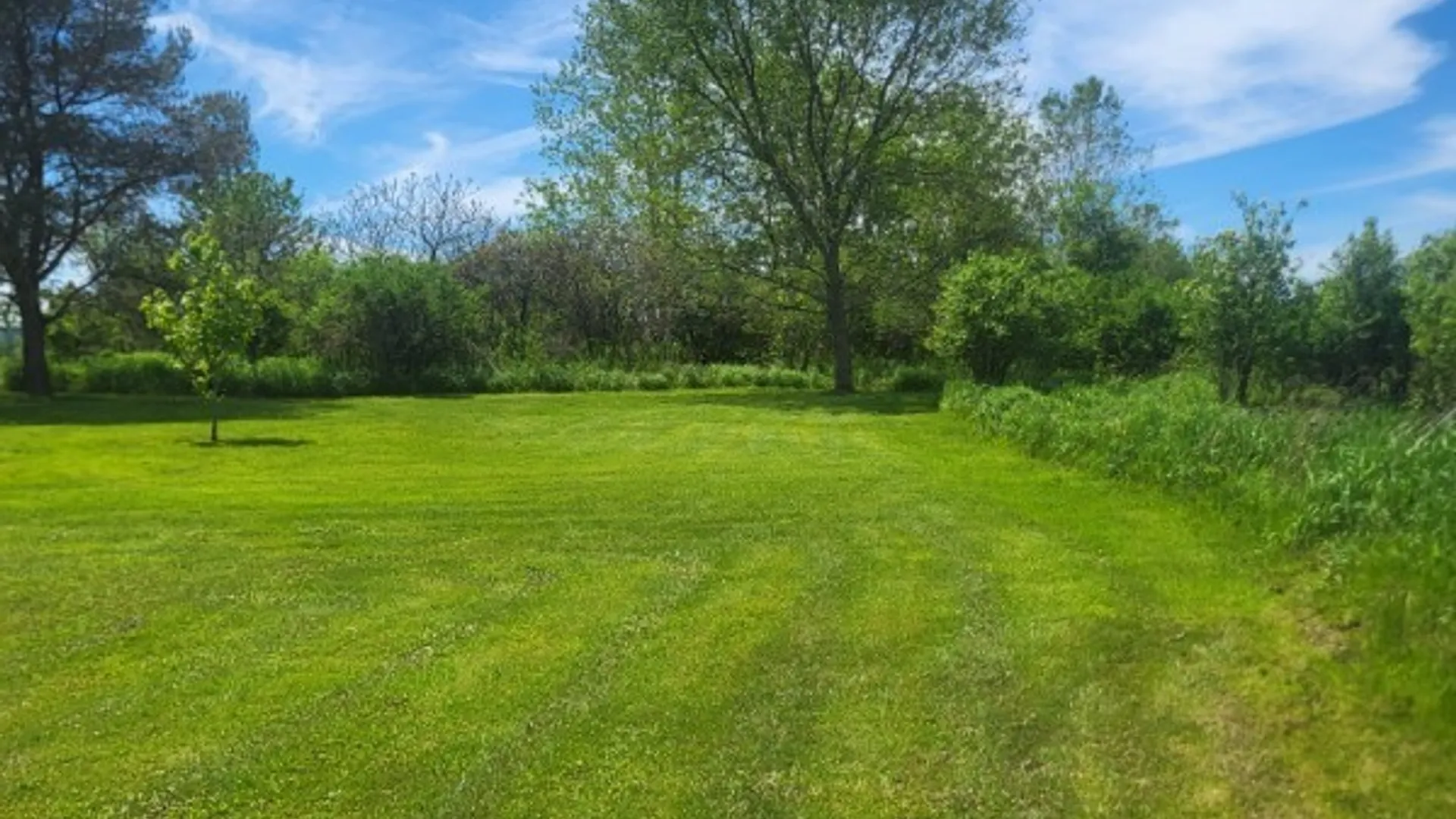 Property at 8294 Swamp Road, East Otto, NY 14719 41