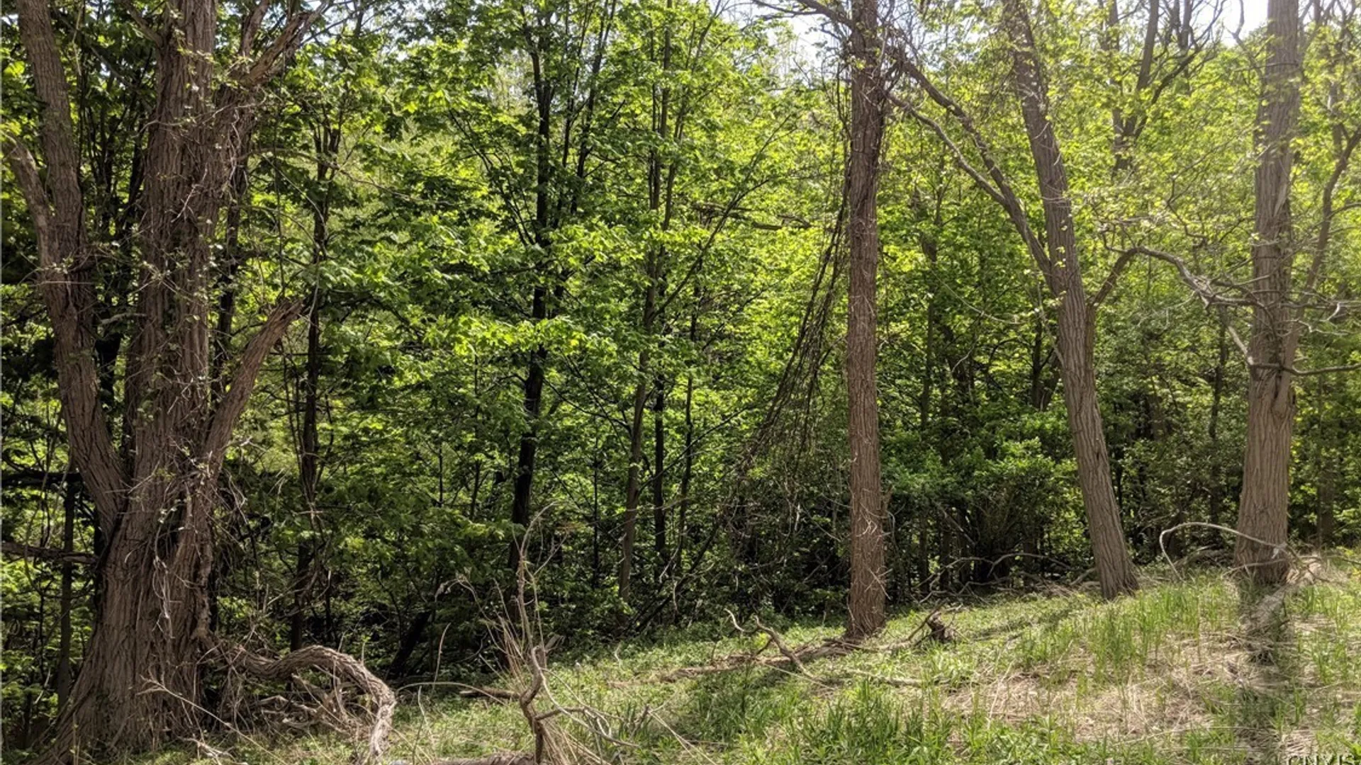 Property at 0 W Seneca Turnpike, Onondaga, NY 13215 6