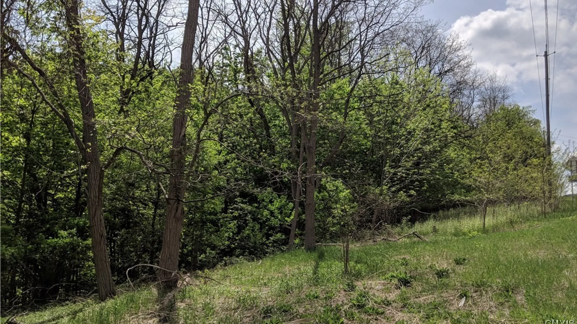 Property at 0 W Seneca Turnpike, Onondaga, NY 13215 9