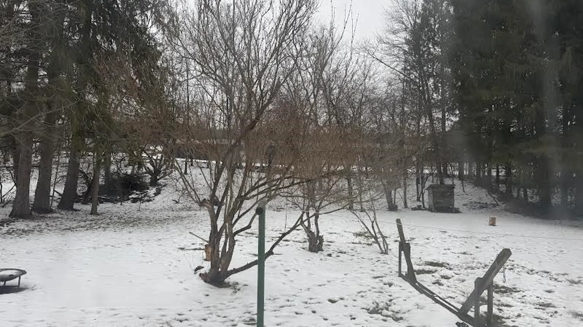 Property at 82 University Street, Alfred, NY 14802 23