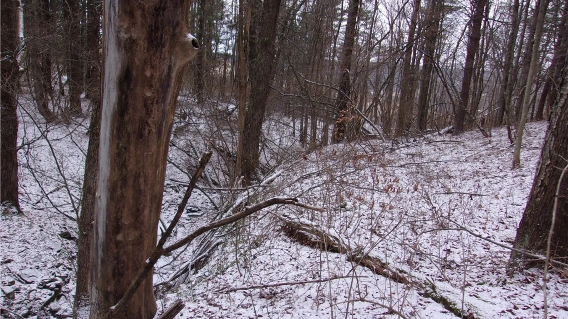 Property at Poole Road, Barton, NY 14859 18