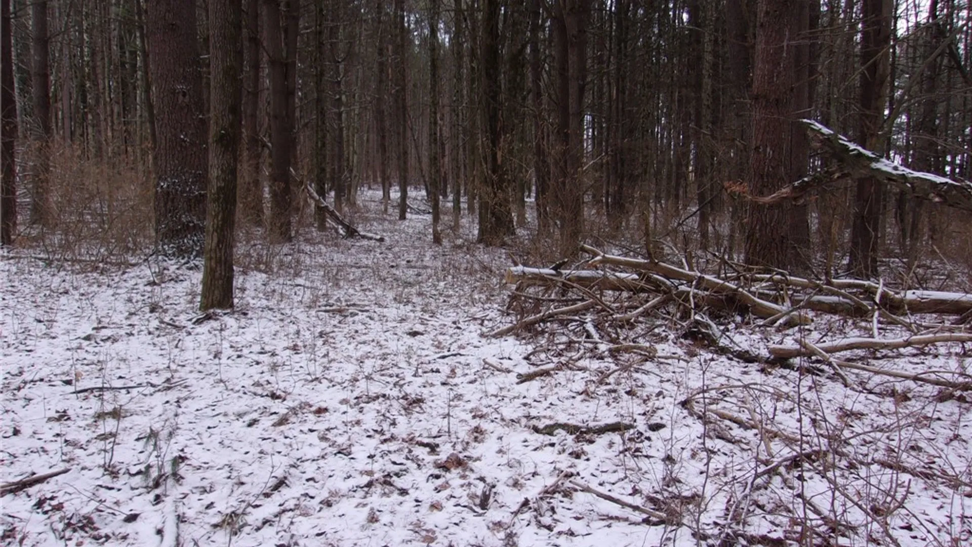 Property at Poole Road, Barton, NY 14859 20