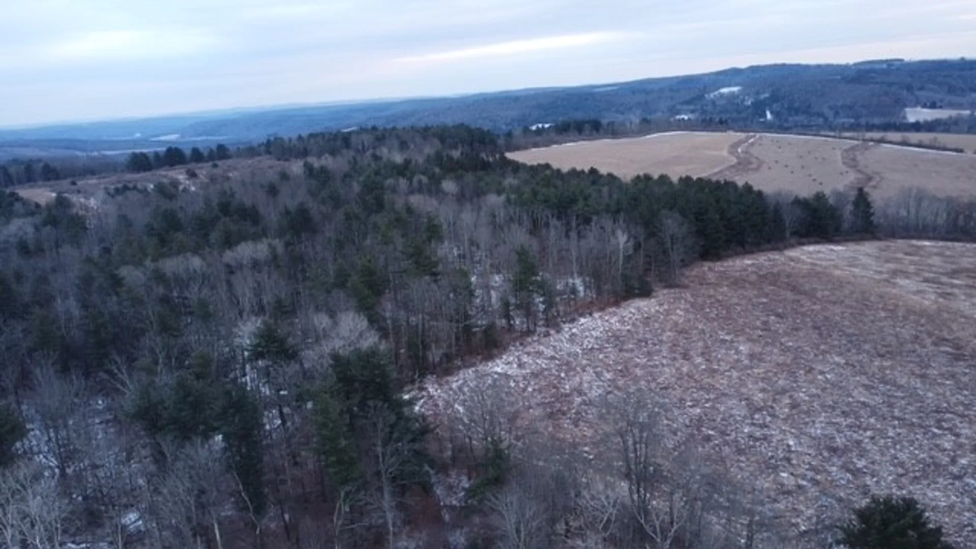 Property at Poole Road, Barton, NY 14859 21