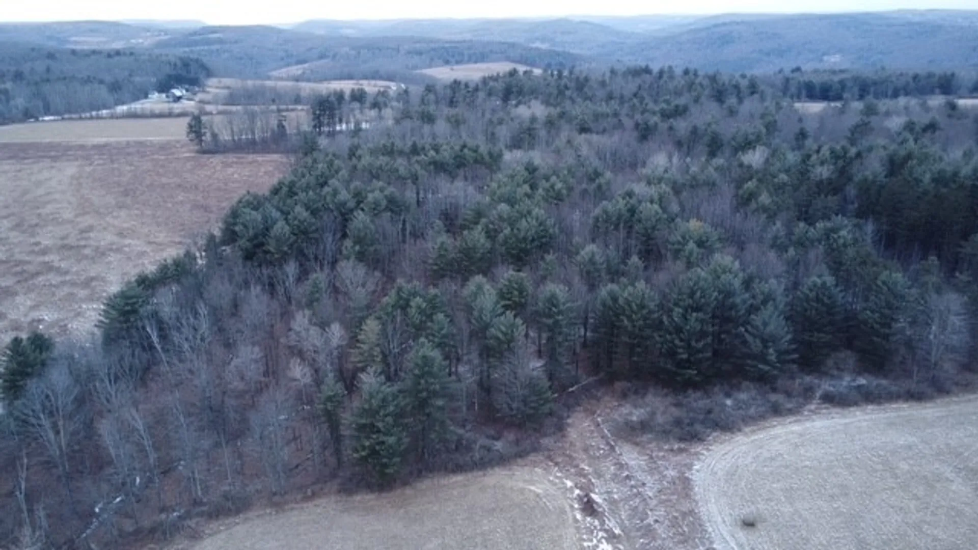 Property at Poole Road, Barton, NY 14859 24