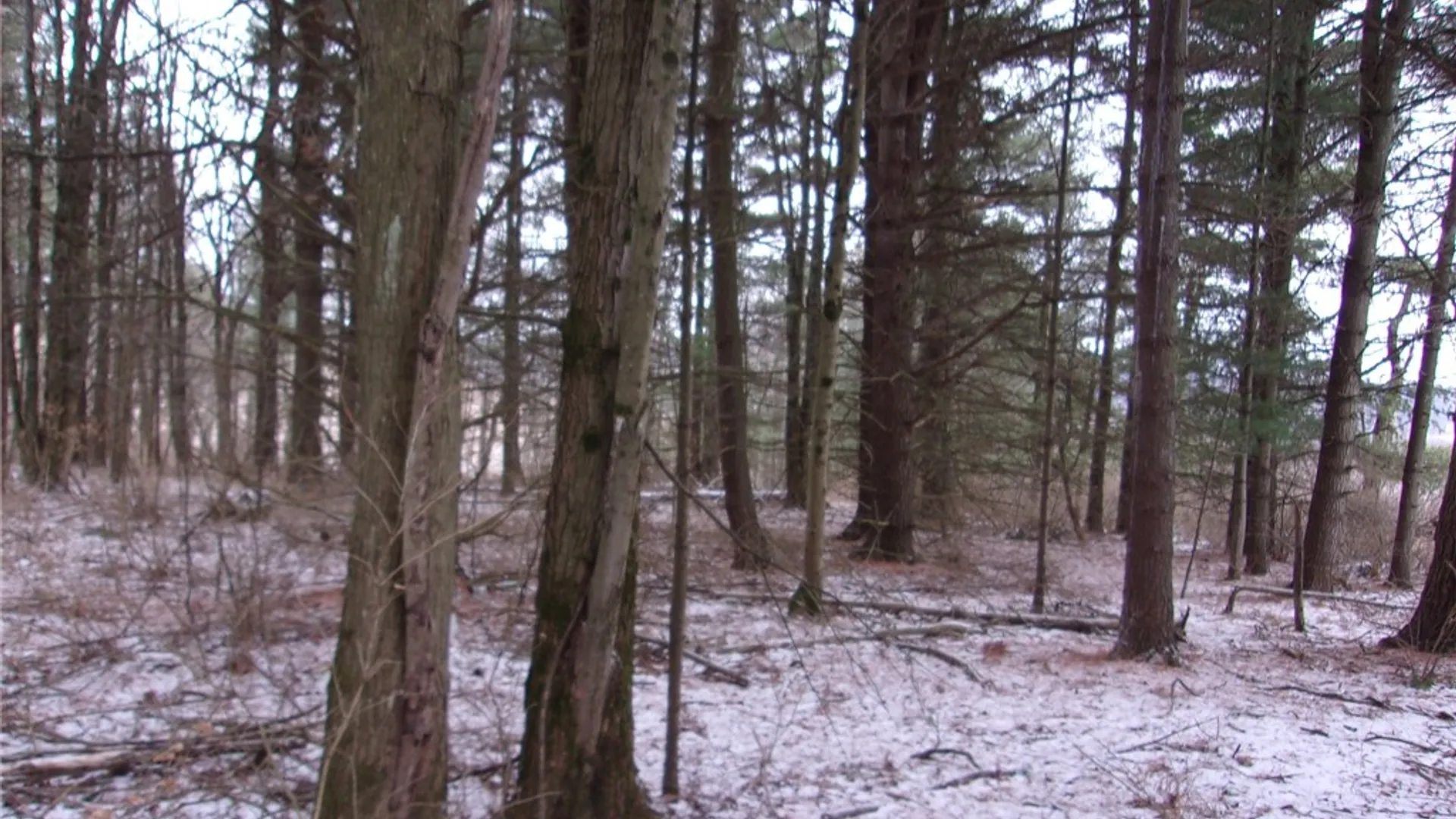 Property at Poole Road, Barton, NY 14859 25