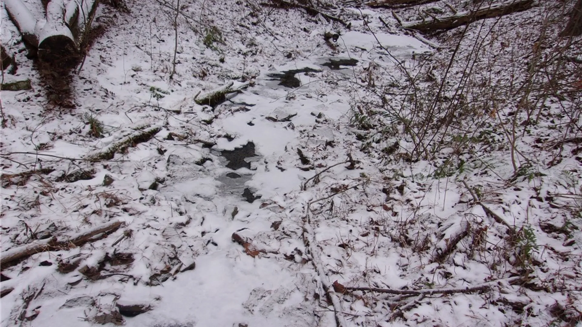 Property at Poole Road, Barton, NY 14859 26