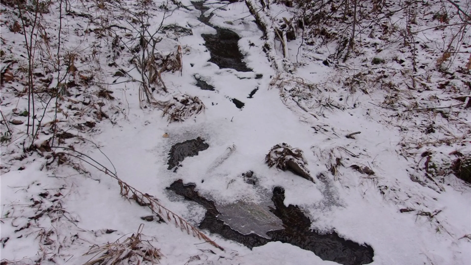 Property at Poole Road, Barton, NY 14859 27