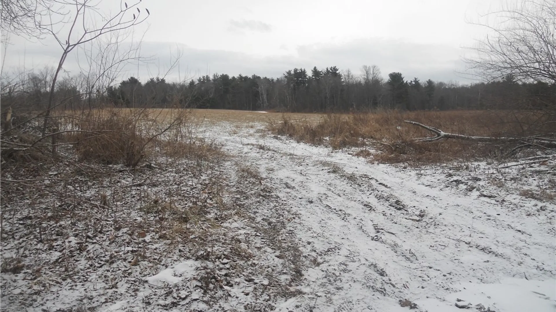 Property at Poole Road, Barton, NY 14859 30