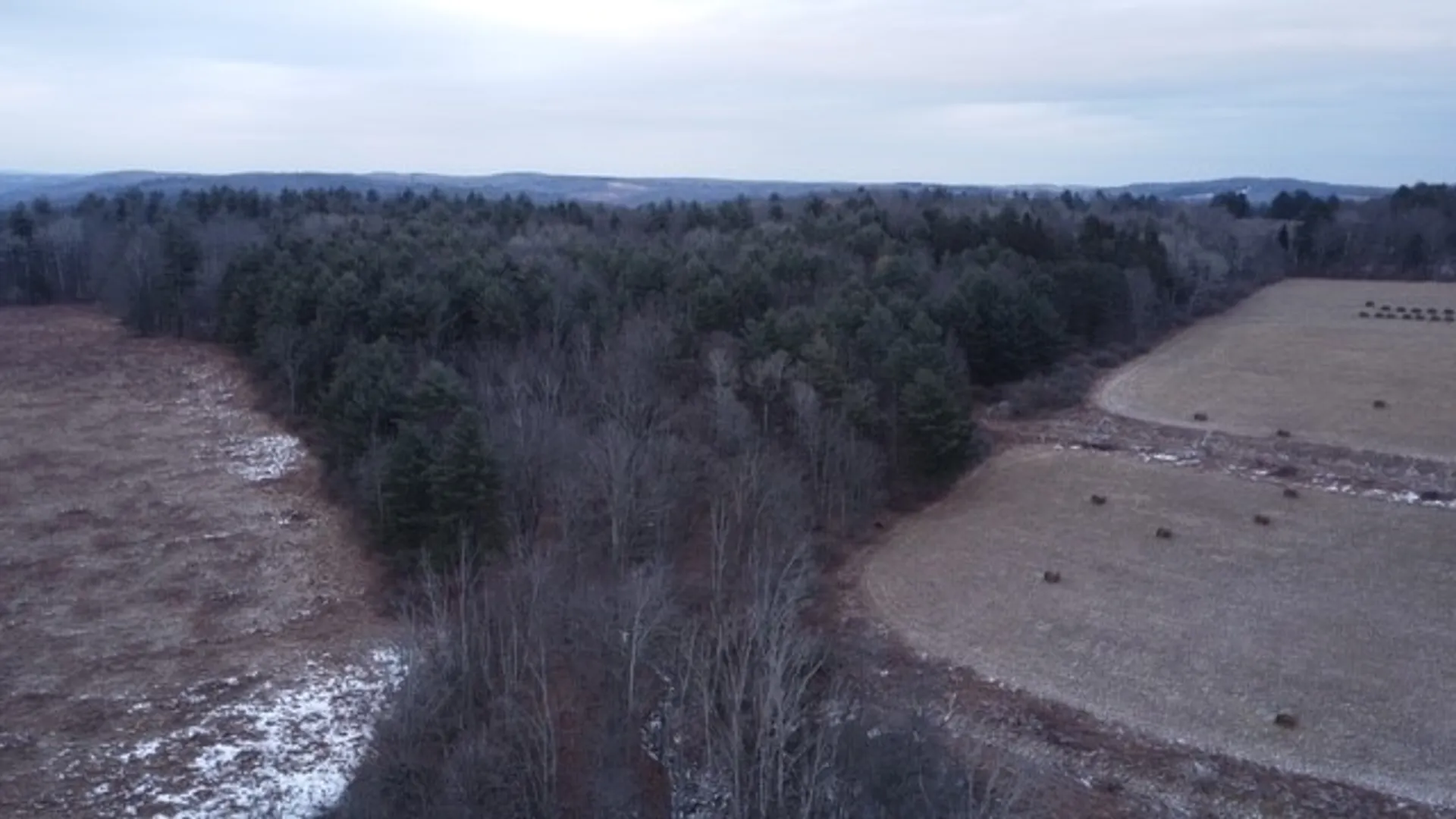 Property at Poole Road, Barton, NY 14859 31