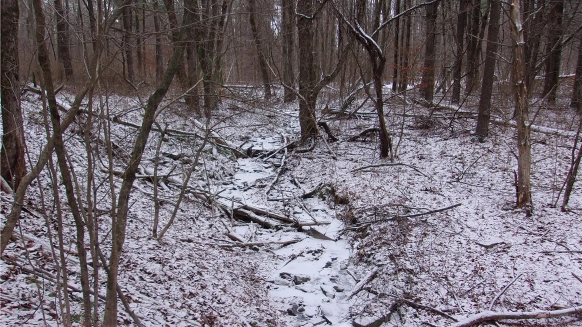 Property at Poole Road, Barton, NY 14859 32