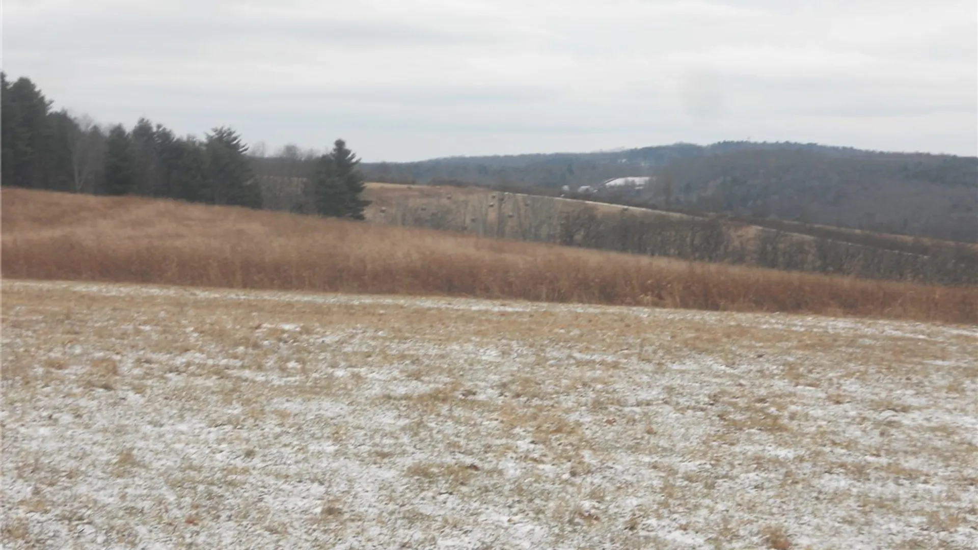 Property at Poole Road, Barton, NY 14859 34