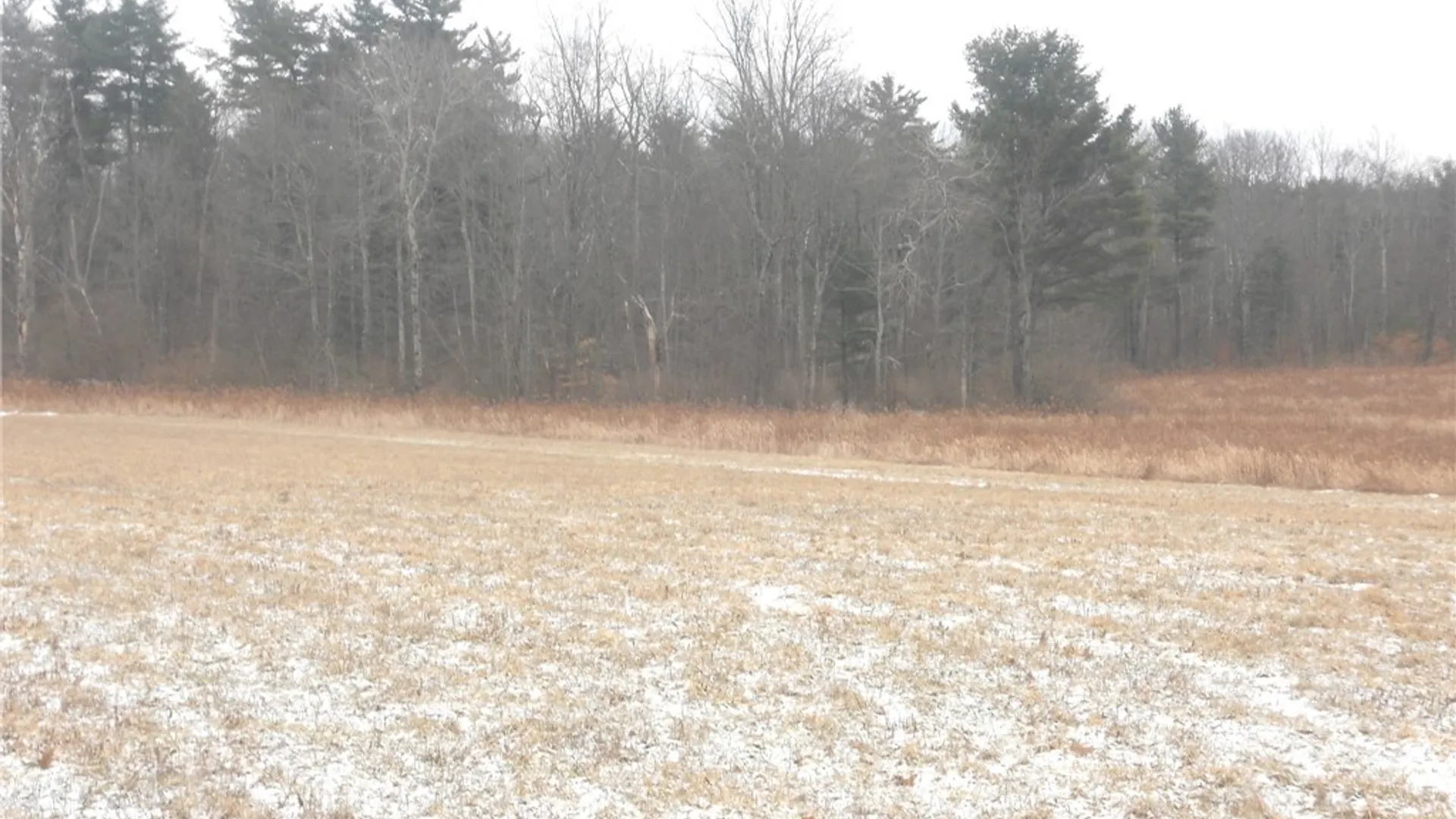 Property at Poole Road, Barton, NY 14859 35