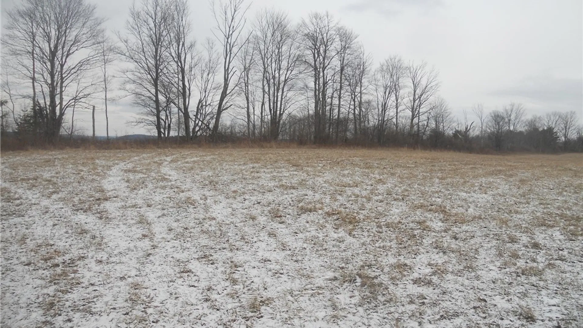 Property at Poole Road, Barton, NY 14859 36