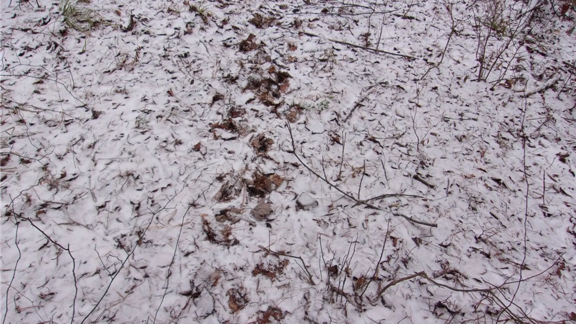 Property at Poole Road, Barton, NY 14859 4