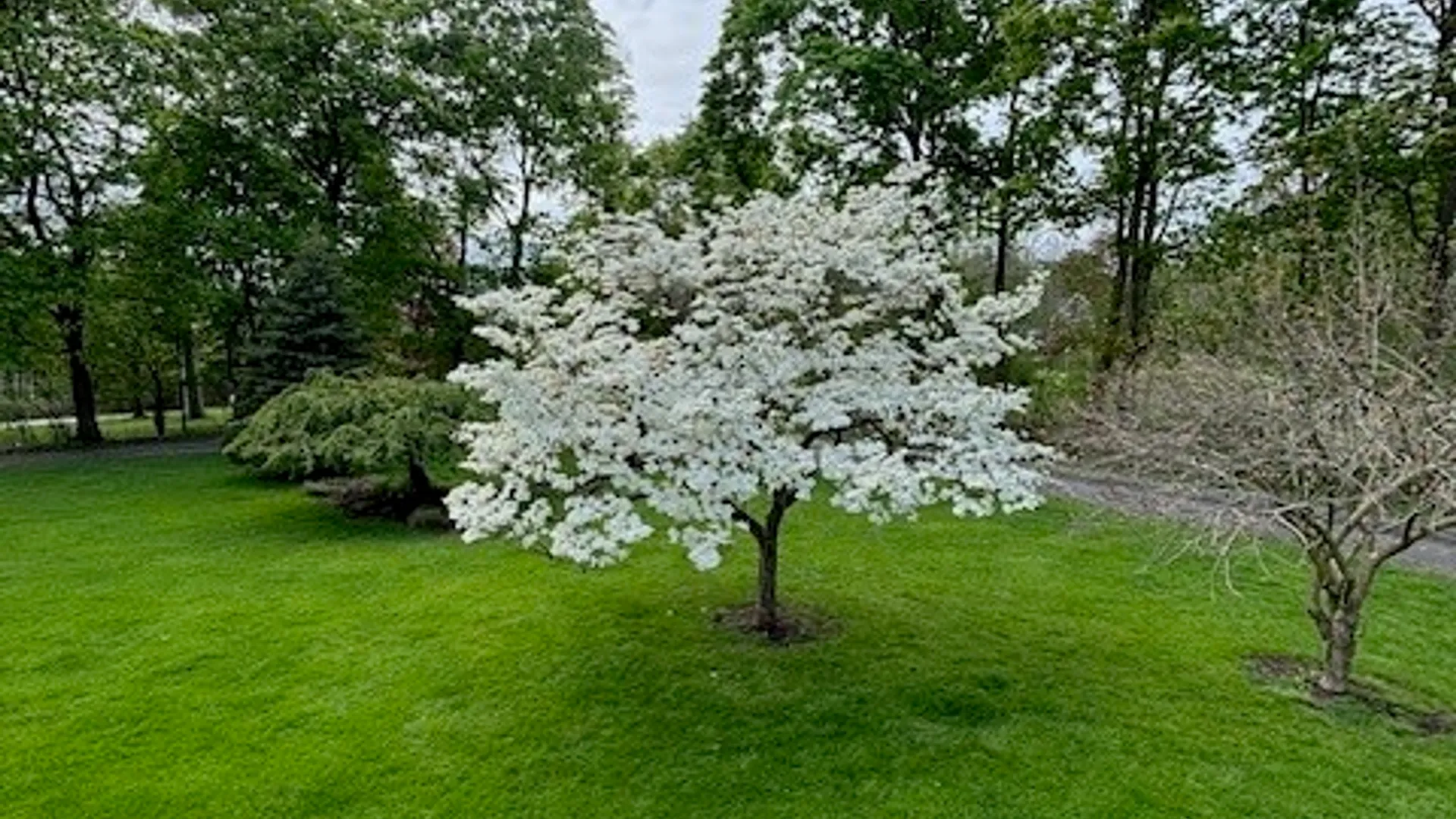 Property at 556 Main Street, Ledyard, NY 13026 40