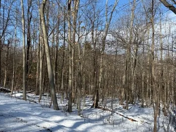 Property at 0 Connecticut Hill Rd Road, Newfield, NY 14867