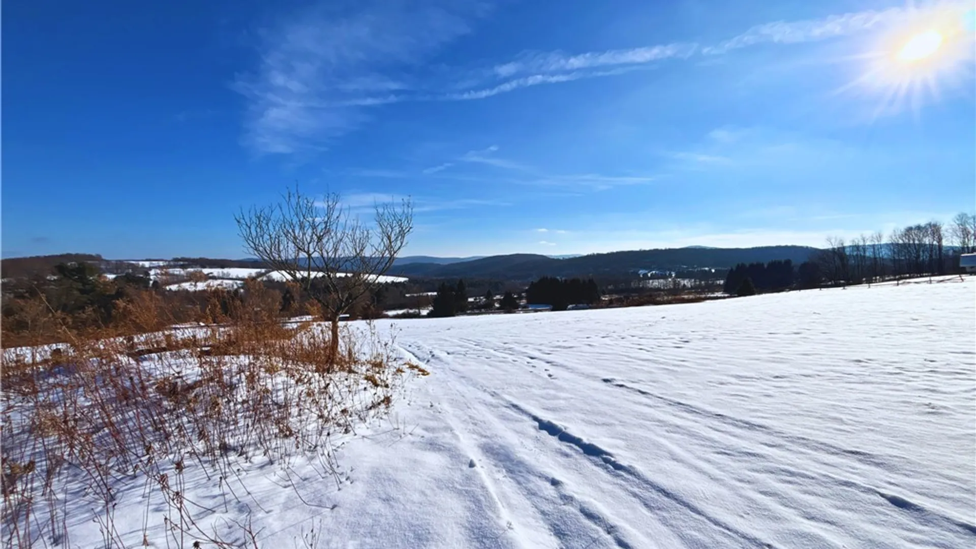 Property at Lot 41-42 Hamden Hill Road, Hamden, NY 13782 12