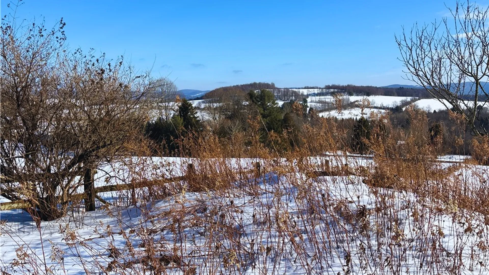 Property at Lot 41-42 Hamden Hill Road, Hamden, NY 13782 16