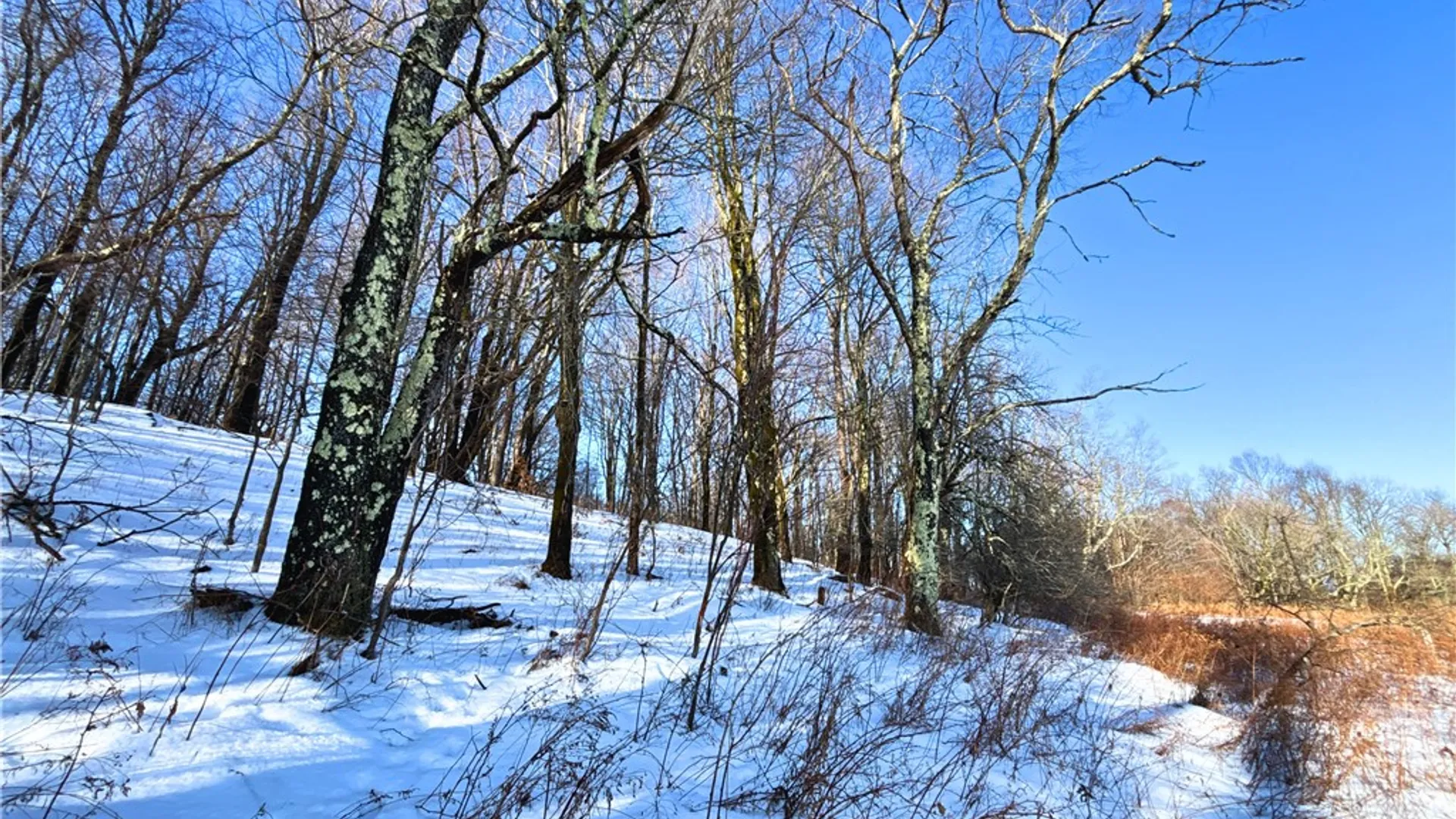 Property at Lot 41-42 Hamden Hill Road, Hamden, NY 13782 17