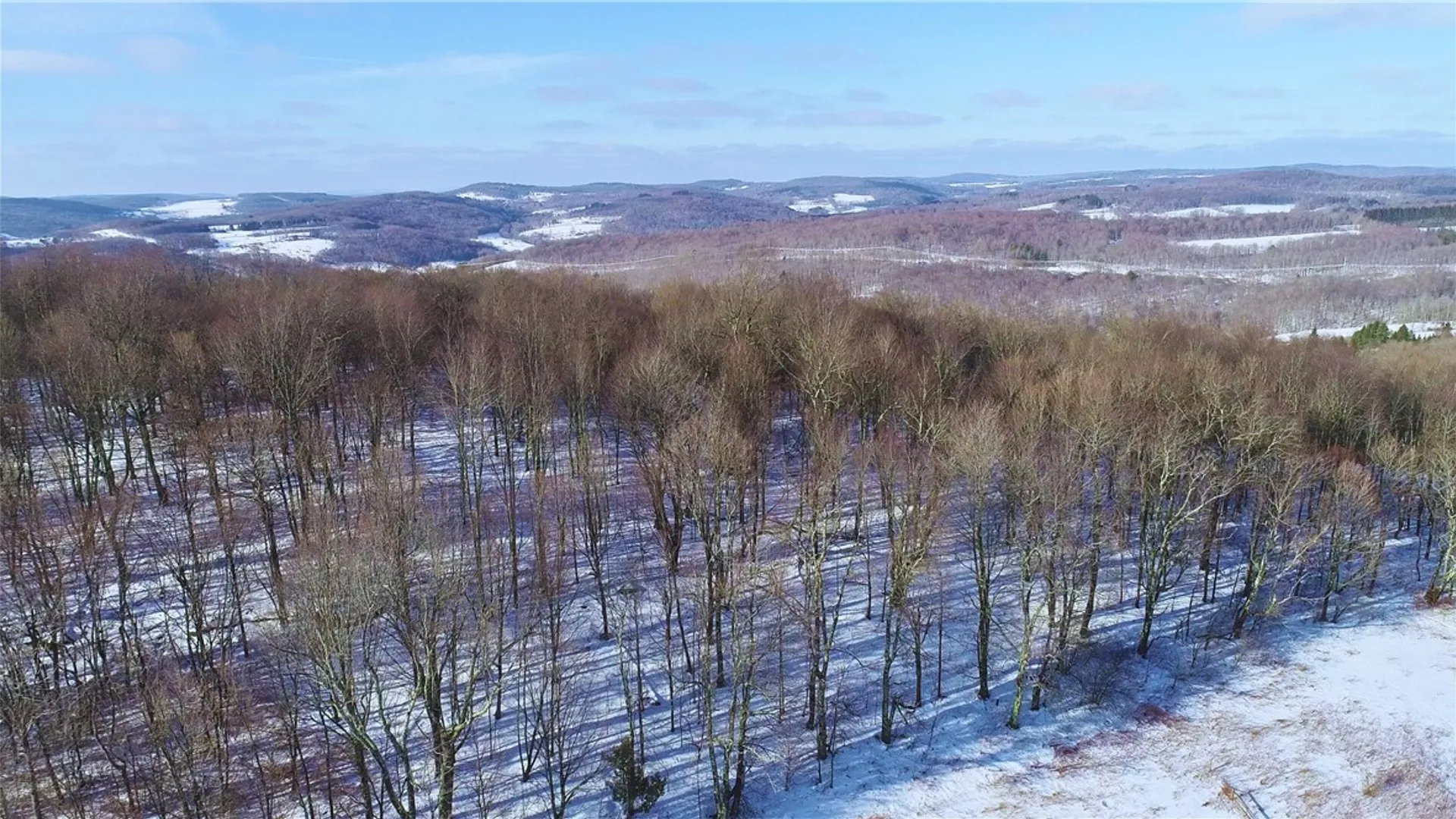 Property at Lot 41-42 Hamden Hill Road, Hamden, NY 13782 20