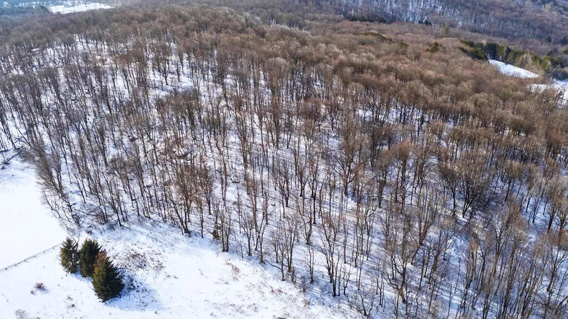 Property at Lot 41-42 Hamden Hill Road, Hamden, NY 13782 21