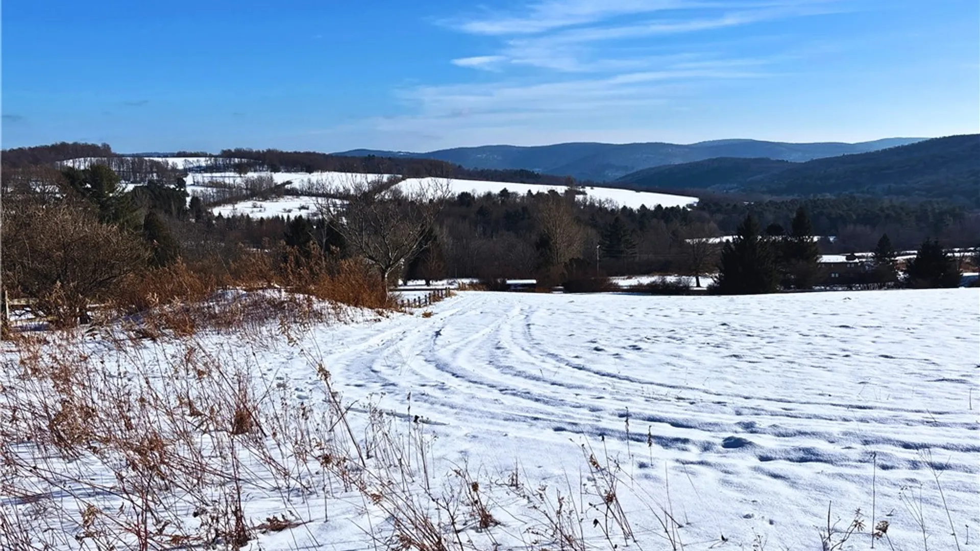 Property at Lot 41-42 Hamden Hill Road, Hamden, NY 13782 3