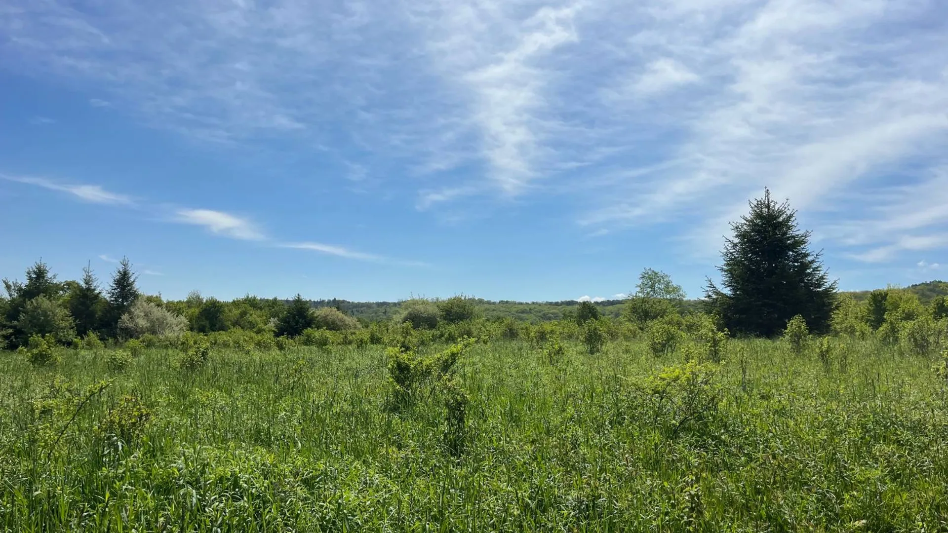 Property at 2 VL Fairview Road, Farmersville Station, NY 14060 2
