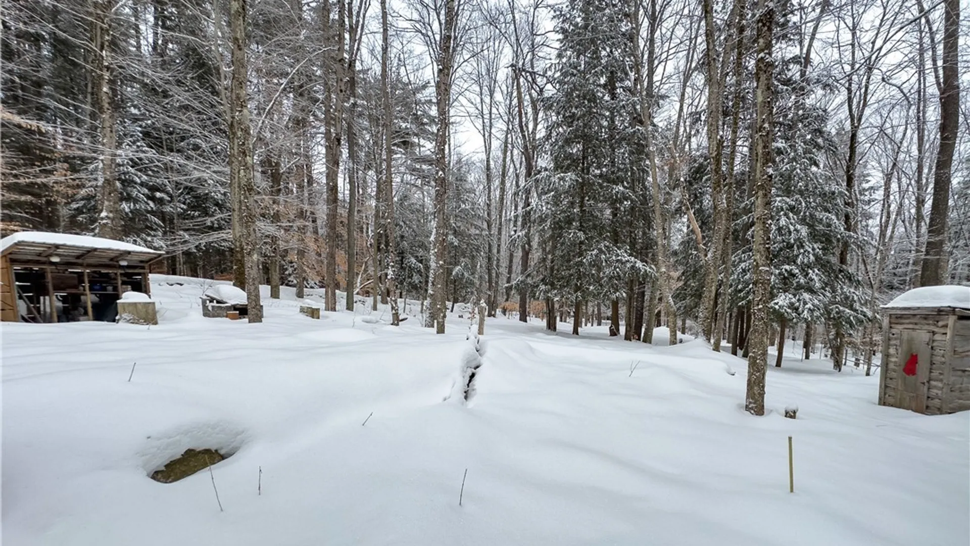 Property at 1848 Gray Wilmurt Road, Ohio, NY 13324 8