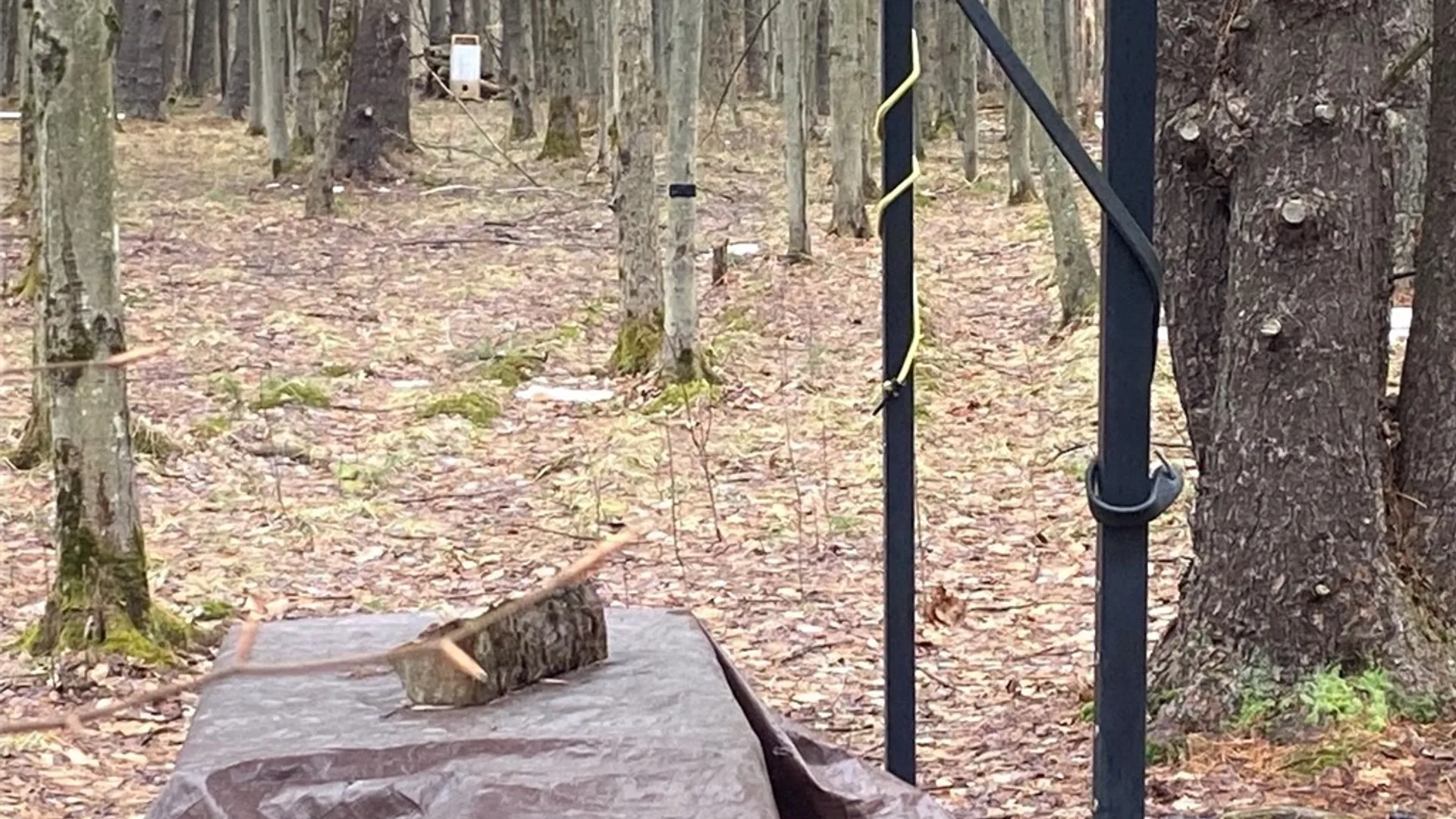 Property at Searles Road, Belfast, NY 14711 26