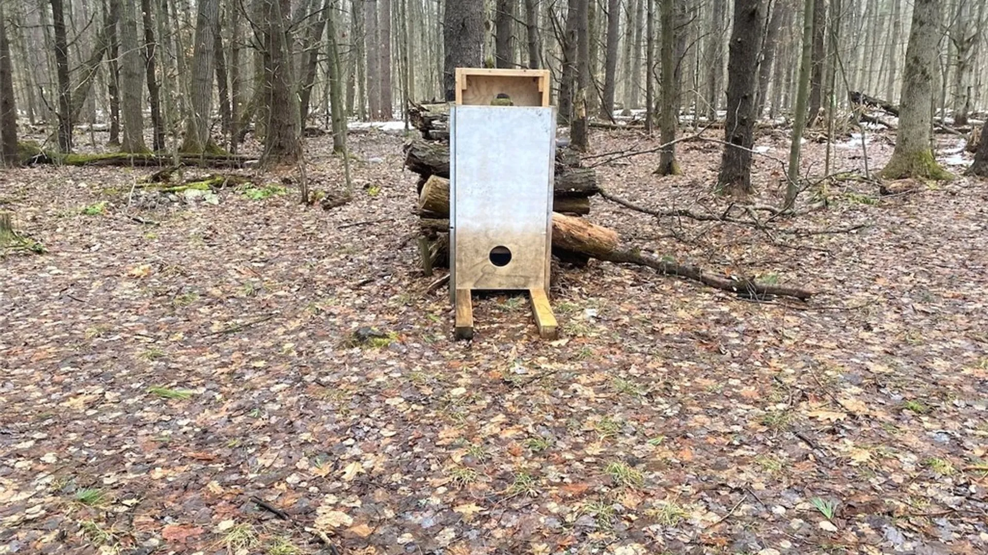 Property at Searles Road, Belfast, NY 14711 27