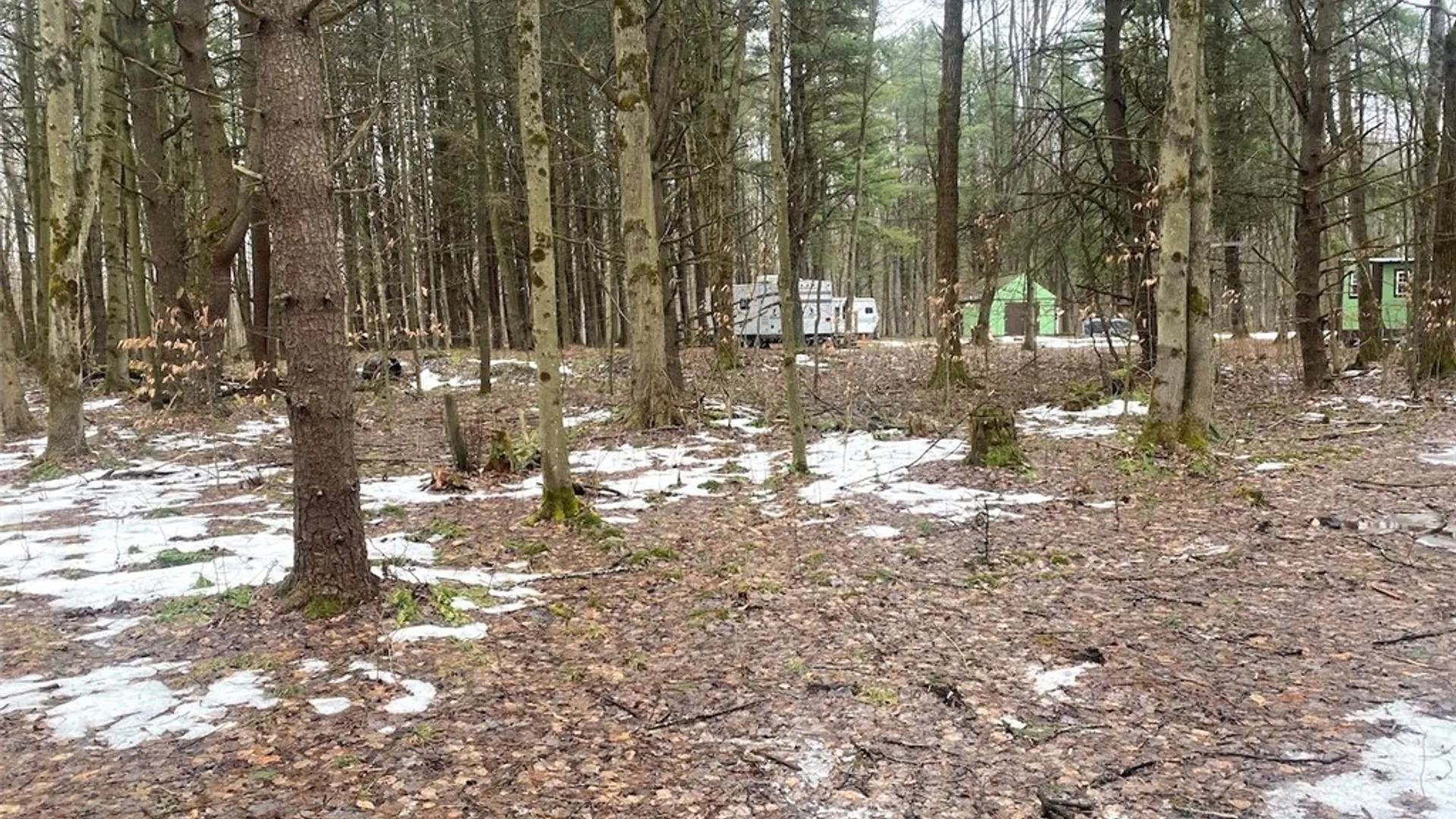 Property at Searles Road, Belfast, NY 14711 31