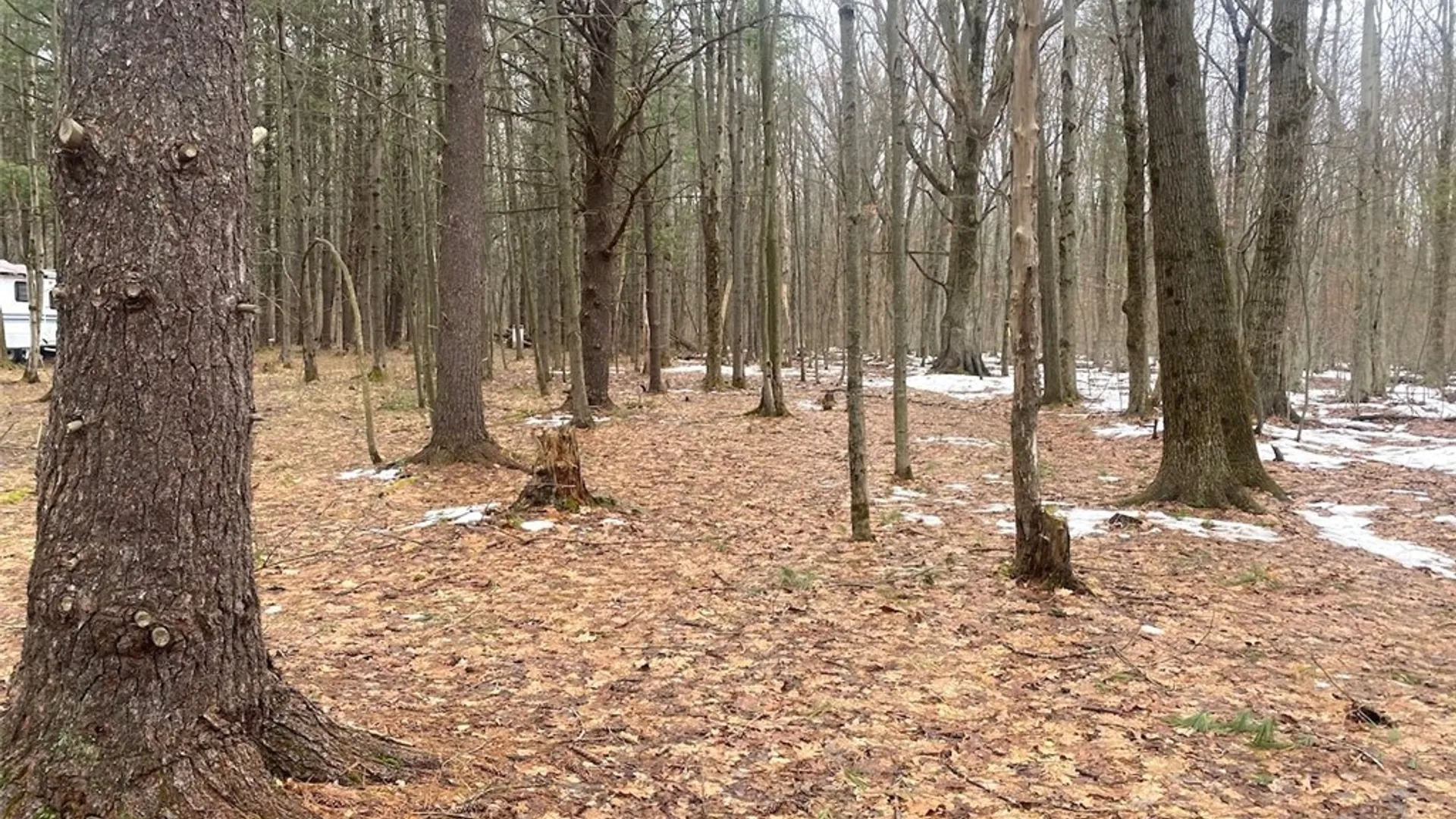 Property at Searles Road, Belfast, NY 14711 32