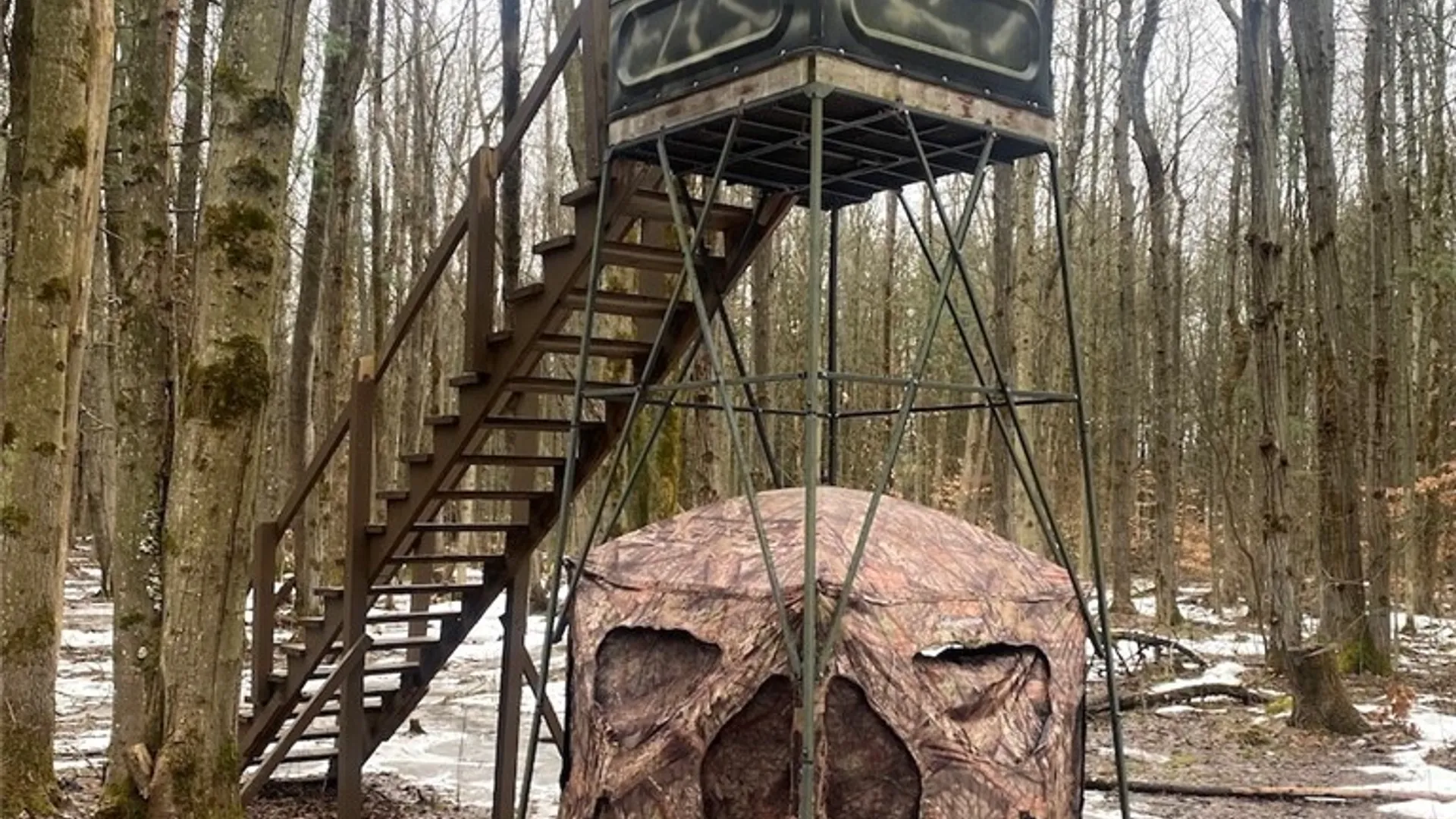 Property at Searles Road, Belfast, NY 14711 33