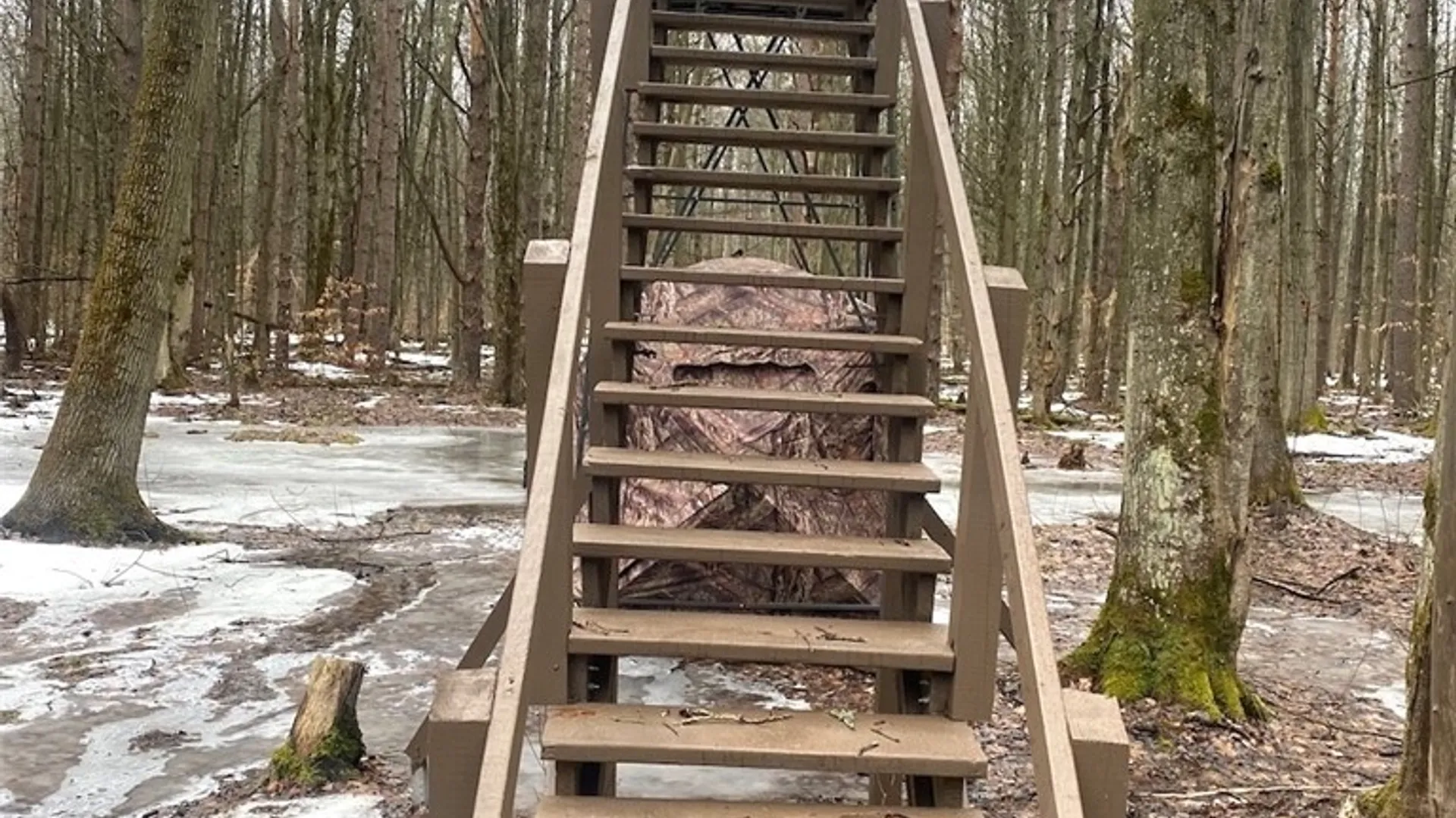 Property at Searles Road, Belfast, NY 14711 34