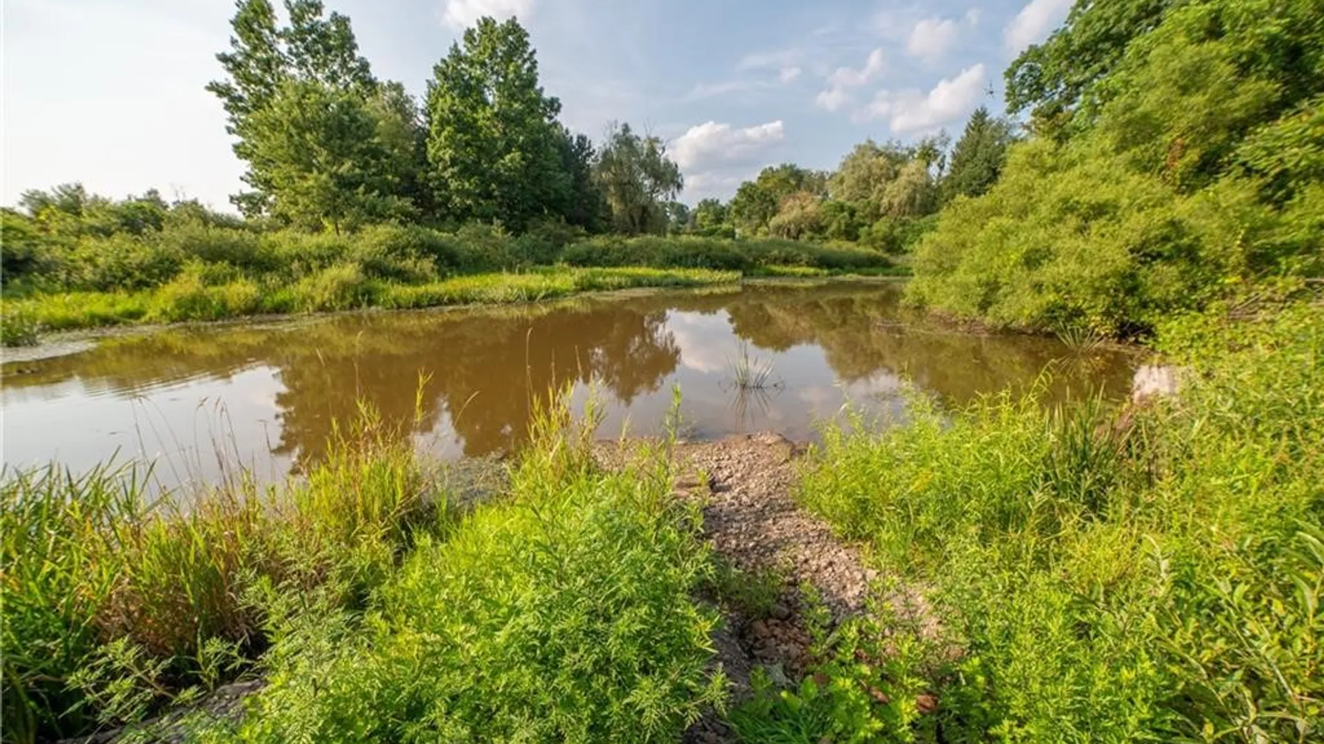 Property at 769 County Highway 1, Unadilla, NY 13809 11