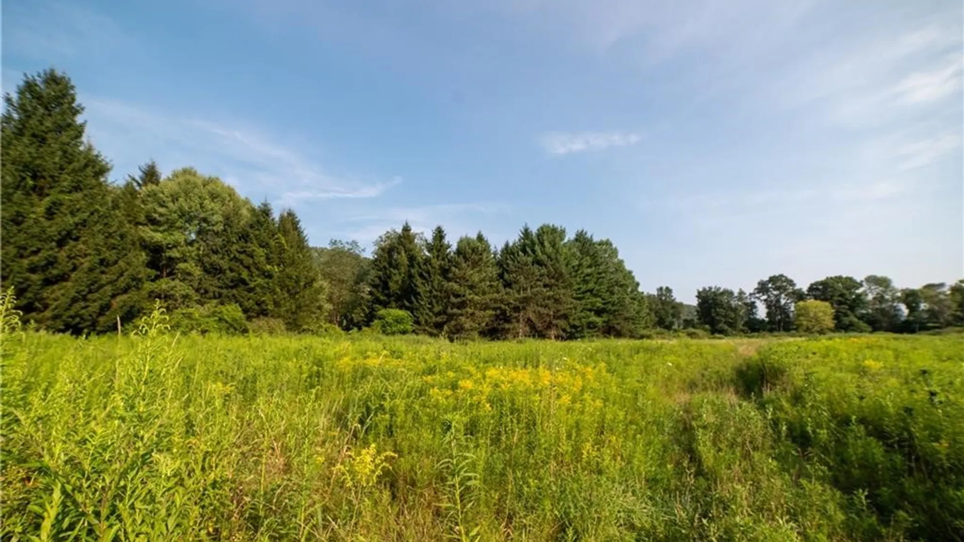 Property at 769 County Highway 1, Unadilla, NY 13809 19