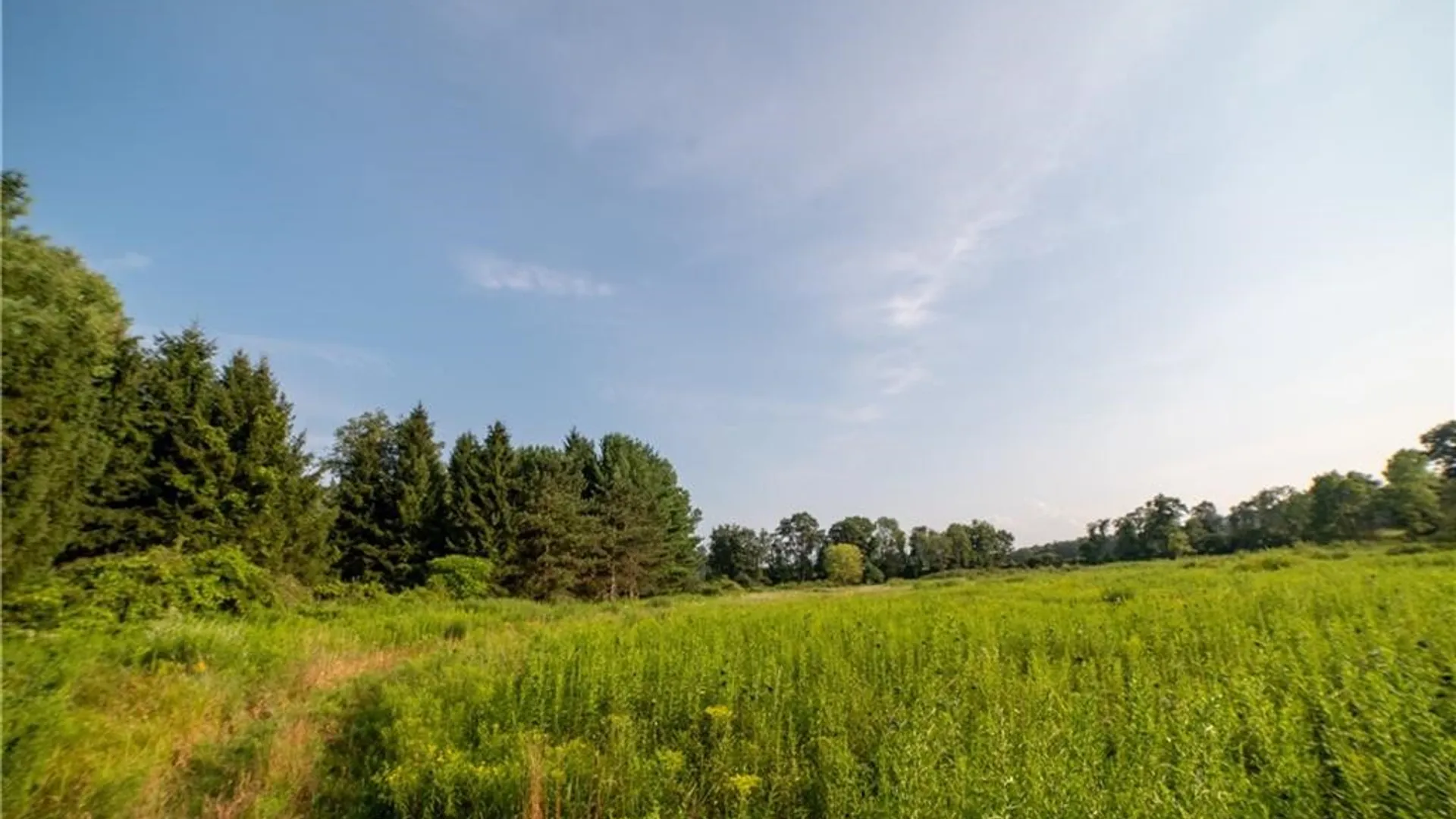 Property at 769 County Highway 1, Unadilla, NY 13809 3